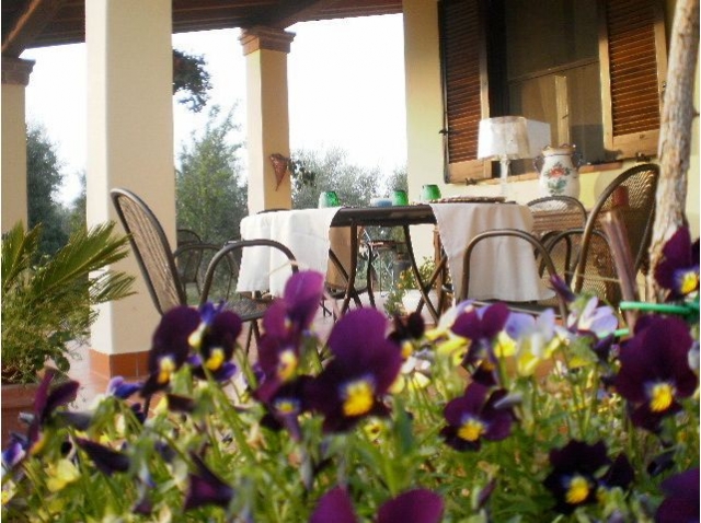 Calma in agriturismo